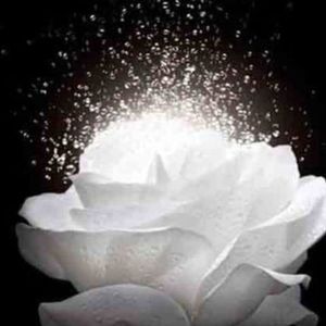 Meet your Posher, Diep